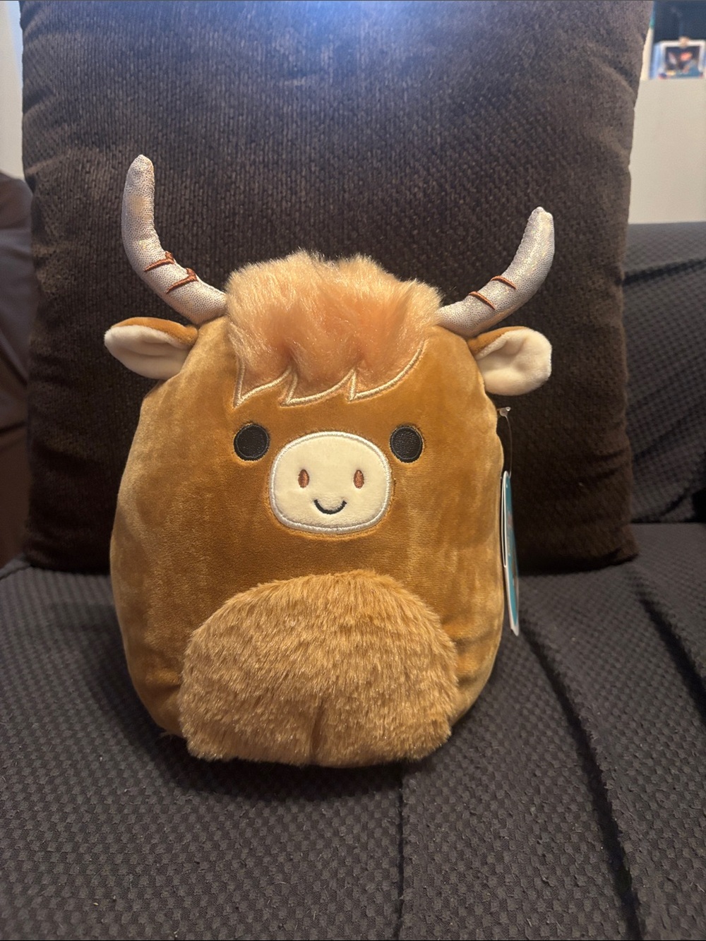 Squishmallow